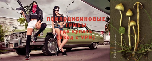 прущий лед Аркадак