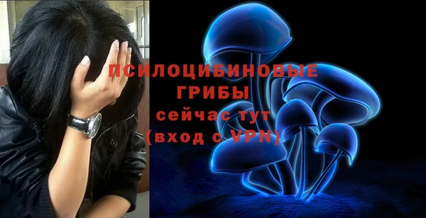 таблы Арсеньев